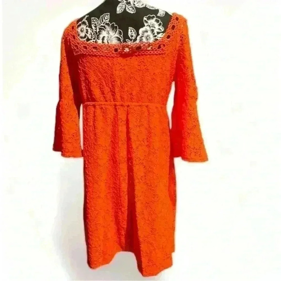 NWT- Laundry by Shelli Segal Orange Eyelet Lace Dress M Party Cocktail - Picture 3 of 5
